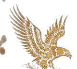 Águia 369